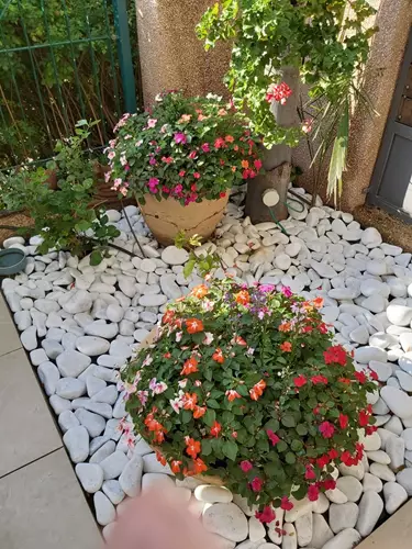 עיצוב גינה בבית פרטי 6